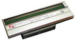 Citizen Термоголовка 203 dpi для clp 7001, clp 7002